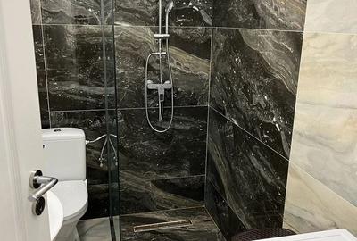 Apartament cu 2 camere decomandat, mobilat în Jiului - 12