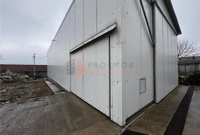 Spațiu industrial, de 140 mp, în Pietroasele