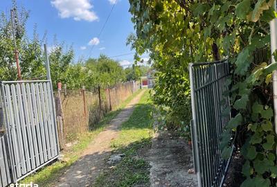 Casă cu 5 camere cu Teren 6000 Mp în Lunca - 7