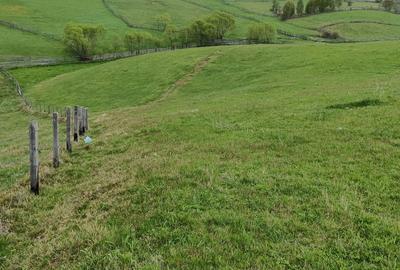 Teren de 6000 mp, în Măguri