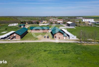 Teren de 105000 mp, în Singureni - 16