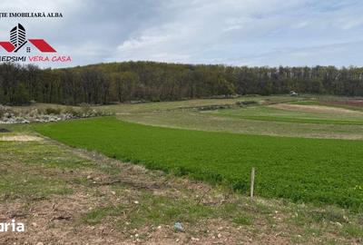Teren de 833 mp, în Meteș - 5