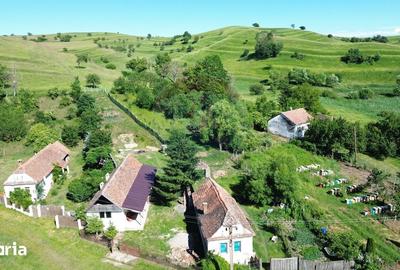 Casă cu 3 camere cu Teren 741 Mp în Bârghiș - 3