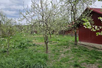 Teren de 2700 mp, în Bogați - 4