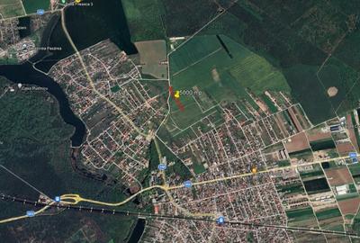 Teren Construcții intravilan de 5000 mp, în Brănești - 1