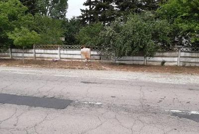 Teren de 2500 mp, în Berceni