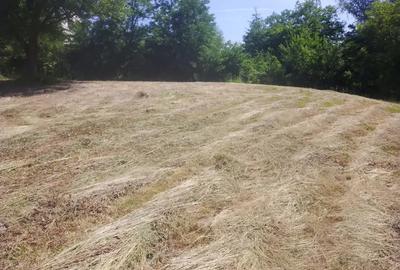 Teren de 4000 mp, în Copăceni - 3