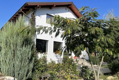 Casă cu 6 camere cu Teren 1416 Mp în Ciulnița - 6