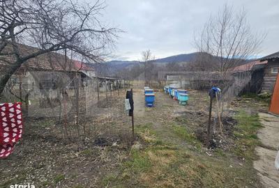 Casă cu 3 camere cu Teren 2805 Mp în Nimigea - 11