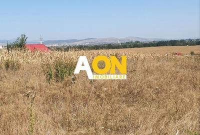Teren agricol extravilan de 7737 mp, în Sud - 2