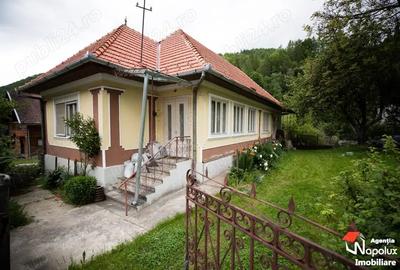 Casă cu 4 camere cu Teren 3100 Mp în Vale
