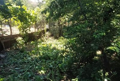 Teren intravilan de 1000 mp, în Kamsas - 6