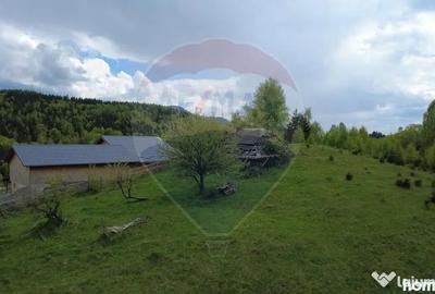 Teren în Șirnea