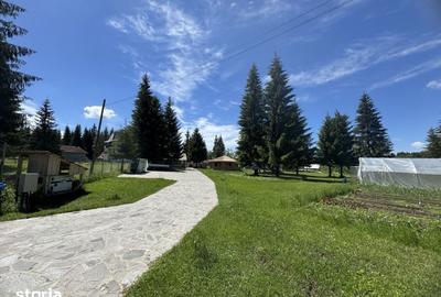 Teren de 9550 mp, în Dorna Candrenilor - 2