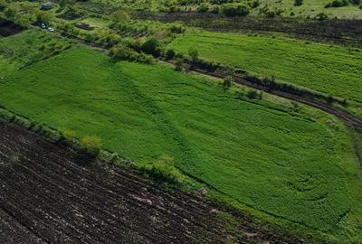 Teren de 3600 mp, în Central