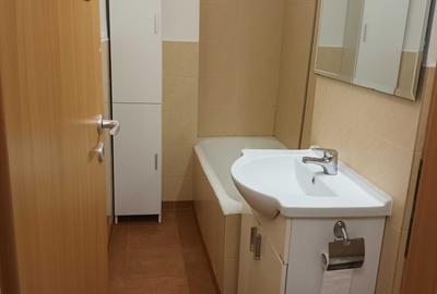 Garsonieră decomandată în Dâmbu Pietros - 3