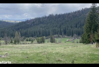 Teren de 55000 mp, în Coșna - 4