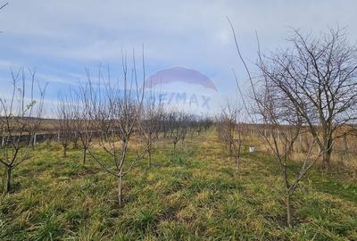 Teren extravilan de 10791 mp, în Fălticeni - 2