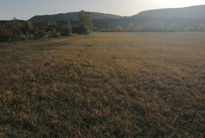 Teren de 3200 mp, în Bănești