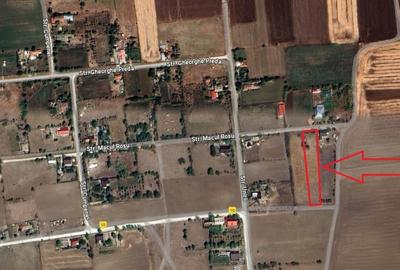 Teren Construcții intravilan de 2500 mp, în Comana - 1