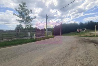 Teren de 9037 mp, în Plaiul Tălii