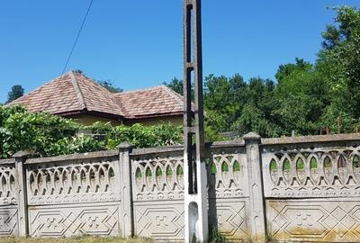Casă cu 4 camere în Miluta - 1