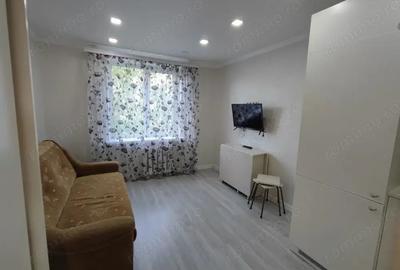 Garsonieră în Lipovei - 1