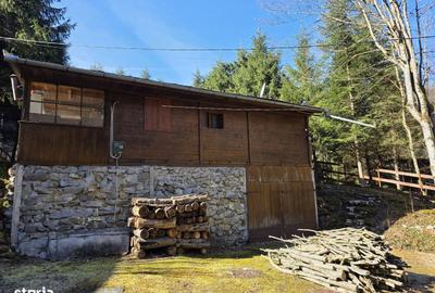 Casă cu 2 camere cu Teren 750 Mp în Pietroasa - 15