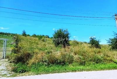 Teren în Ciurila