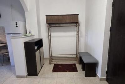 Apartament cu 2 camere semidecomandat, mobilat în Moșilor - 4