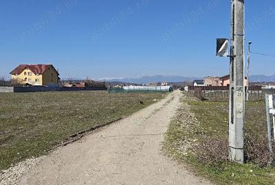 Teren de 500 mp, în Central