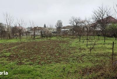 Casă cu Teren 1856 Mp în Central - 1