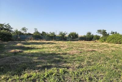 Casă cu Teren 1050 Mp în Pecineaga - 6