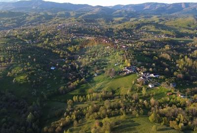 Teren Construcții intravilan de 15459 mp, în Bughea de Sus - 4