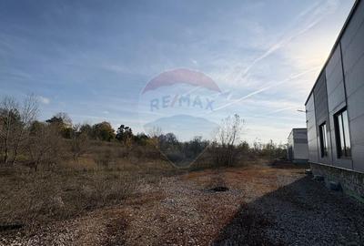 Spațiu industrial, de 6,669 mp, în Valu lui Traian - 8