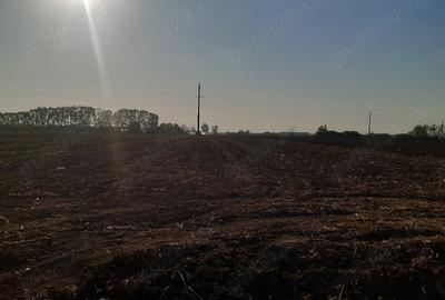 Teren de 4850 mp, în Dobreni - 7