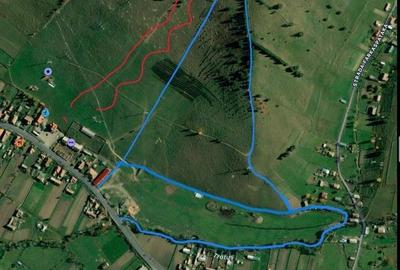 Teren de 100000 mp, în Lunca de Sus - 1