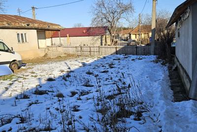 Teren de 3500 mp, în Brădăcești - 5