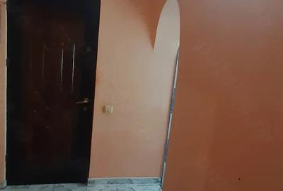 Apartament cu 2 camere semidecomandat în Tineretului