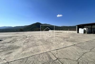 Spațiu industrial, de 128 mp, în Cisnădioara