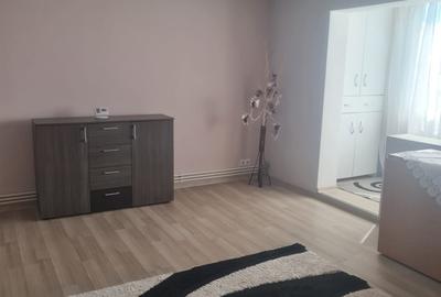 Apartament cu 3 camere decomandat, mobilat în Torontalului - 4