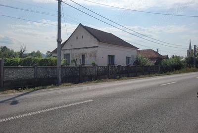 Casă în Topa de Criș - 6