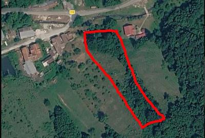 Teren de 5389 mp, în Rusca