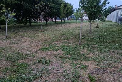 Casă cu 3 camere în Cazasu - 2