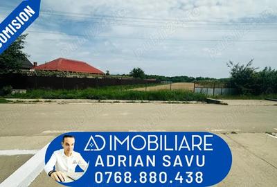 Teren de 5238 mp, în Dănești - 5