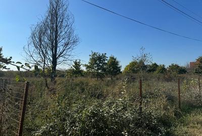 Teren Construcții intravilan de 1000 mp, în Mogoșoaia - 2