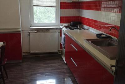 Apartament cu 4 camere decomandat în Lăpuș