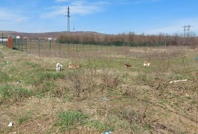 Teren în Valea Călugărească - 3