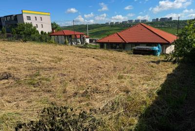 Spațiu comercial, în Valea Lupului
