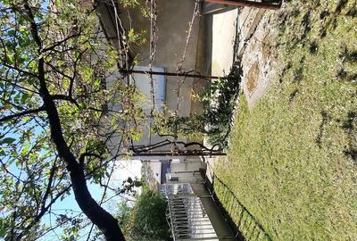 Casă cu 3 camere cu Teren 1350 Mp în Sărmașu - 4